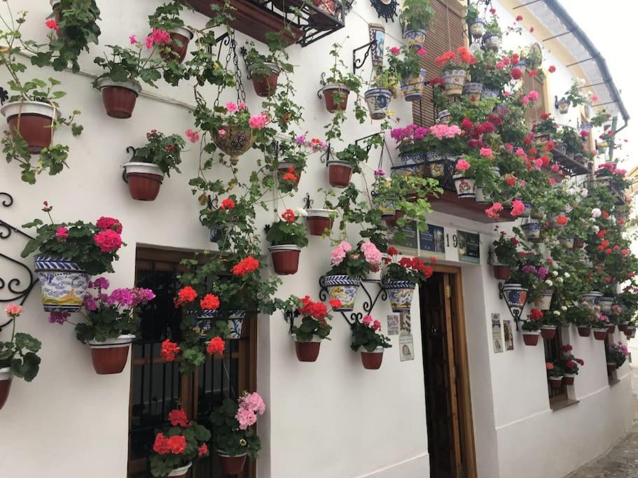 El Templo Apartment